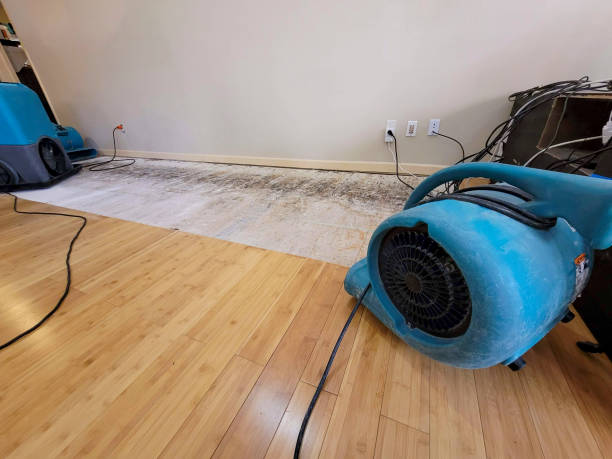 Professional Water Damage Repair technician working in Hollansburg, OH